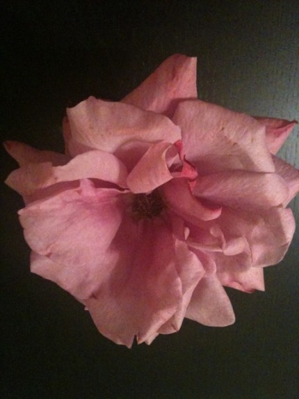 20110520-112242.jpg