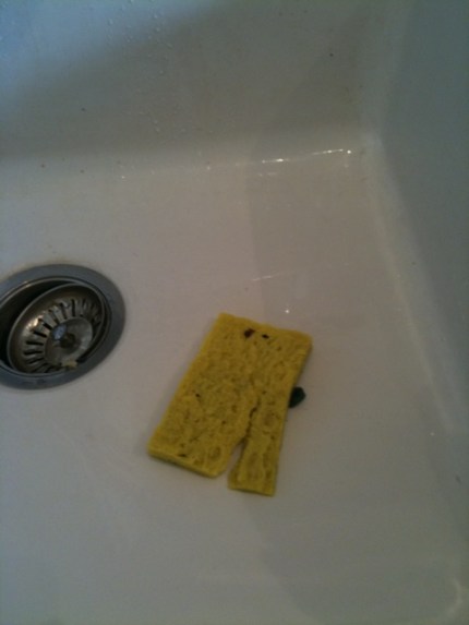 20110612-103021.jpg