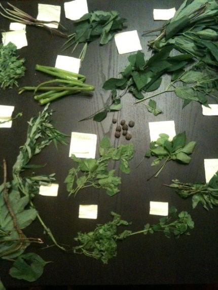 20110618-093119.jpg