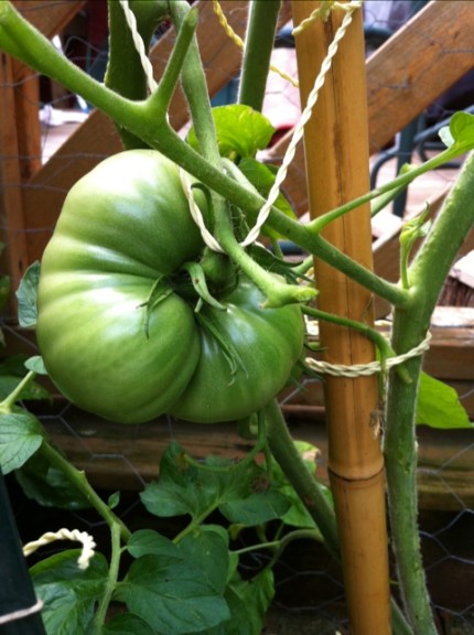 20110723-114532.jpg