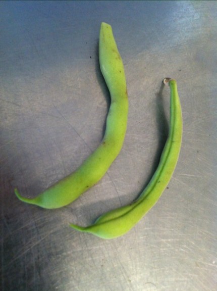 20110801-120706.jpg