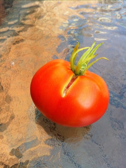 20110805-085304.jpg