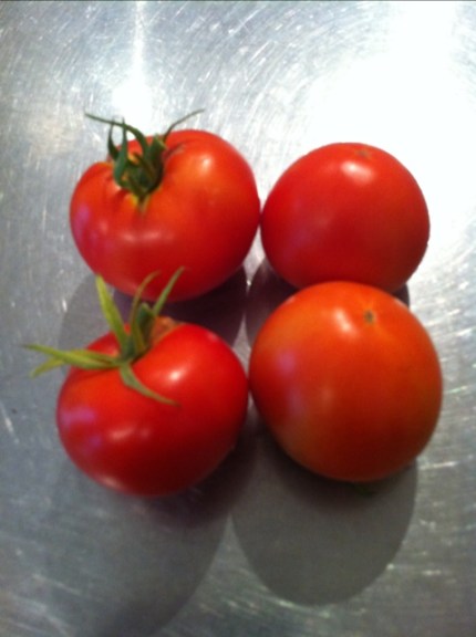 20110808-070528.jpg