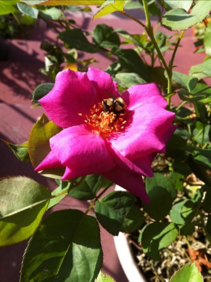20110808-083127.jpg