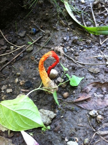 20110822-032237.jpg