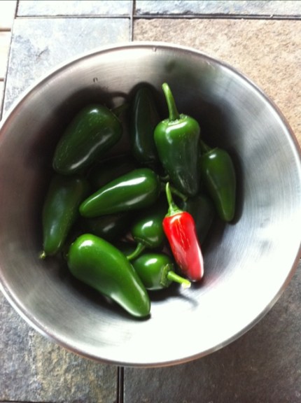 20110825-065341.jpg