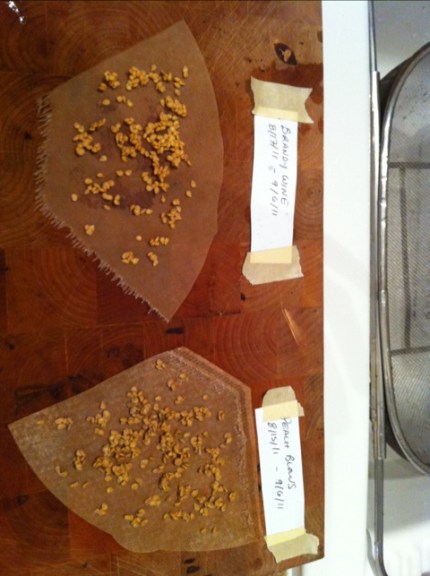 20110906-040426.jpg
