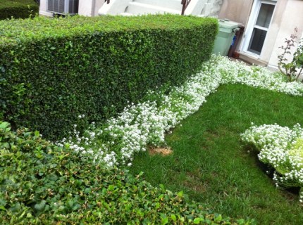 20110906-082825.jpg
