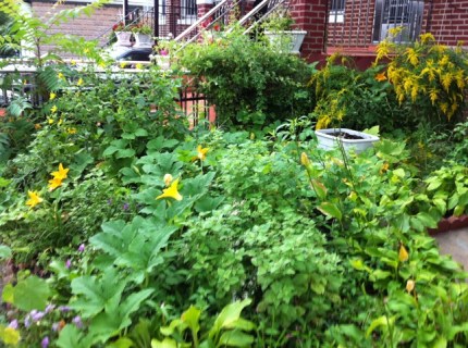 20110906-084412.jpg