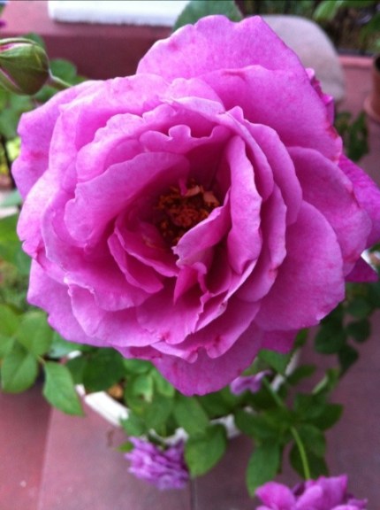 20110928-011849.jpg