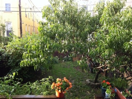 20110929-045905.jpg