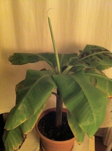 20111019-123840.jpg