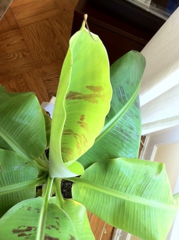 20111020-015950.jpg