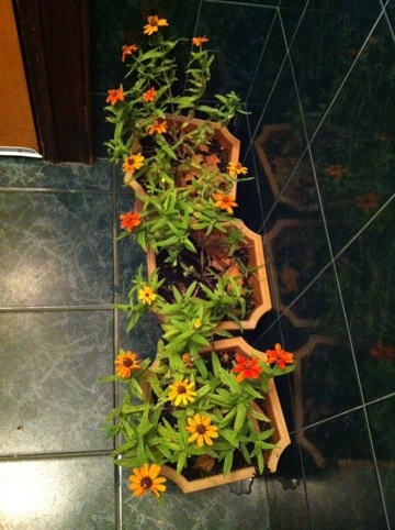 20111029-031640.jpg