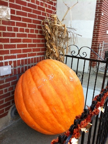 20111102-040553.jpg