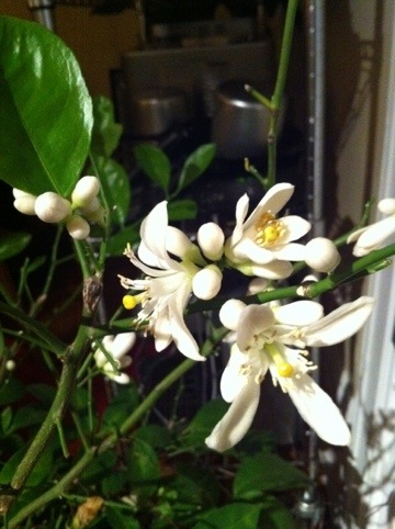 20111209-010334.jpg