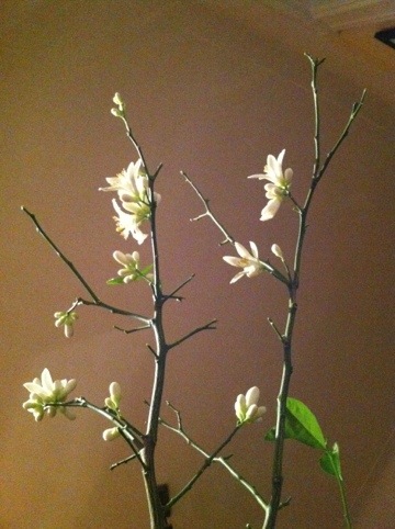 20111209-010449.jpg