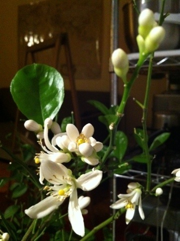 20111209-010902.jpg