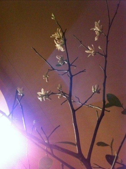 20111209-125703.jpg