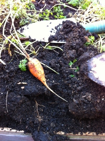 20120107-120650.jpg
