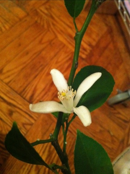 20120227-092644.jpg