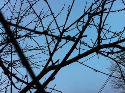 20120312-185640.jpg