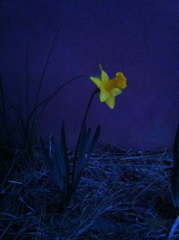 20120313-232623.jpg