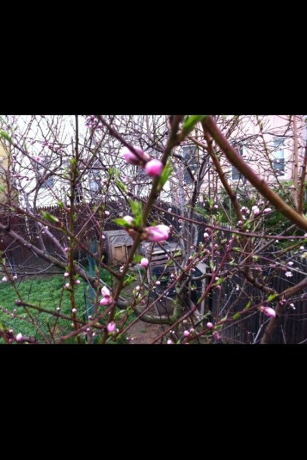20120321-083917.jpg