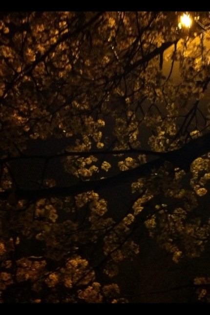 20120321-231303.jpg