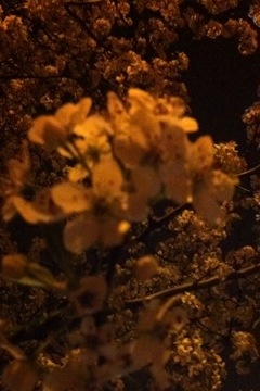 20120321-231421.jpg