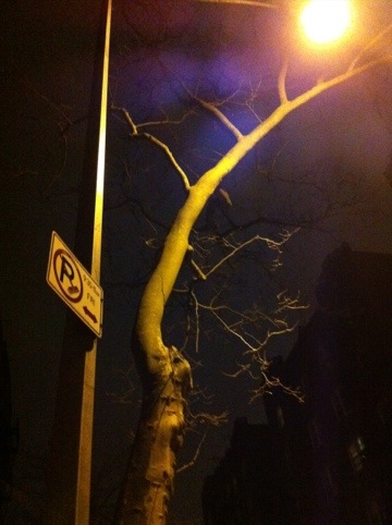 20120404-122535.jpg