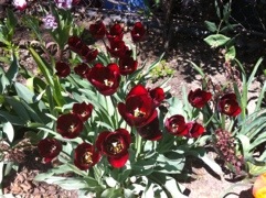 20120410-135727.jpg