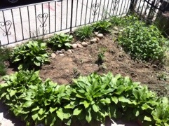 20120420-000601.jpg