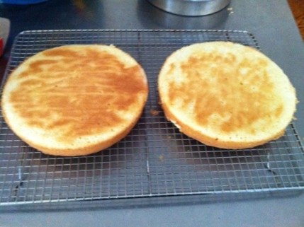 20120422-234147.jpg