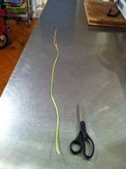 20120427-153844.jpg