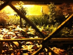 20120519-075658.jpg