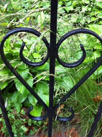 20120525-071746.jpg