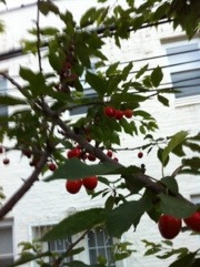 20120605-005033.jpg