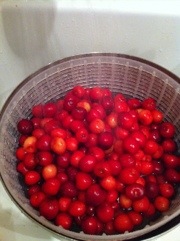 20120605-005146.jpg