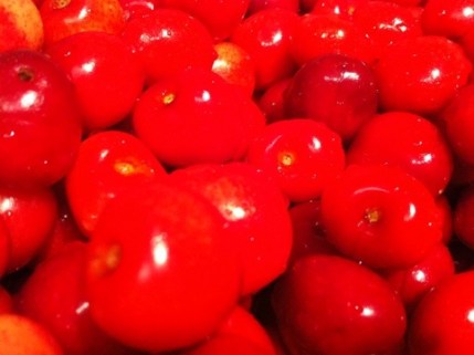 20120605-005154.jpg