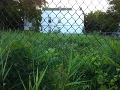 20120607-230350.jpg
