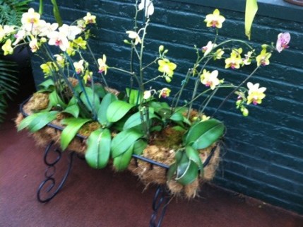 20120611-122021.jpg