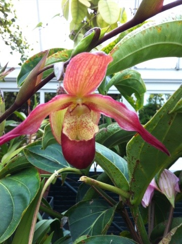 20120611-122331.jpg