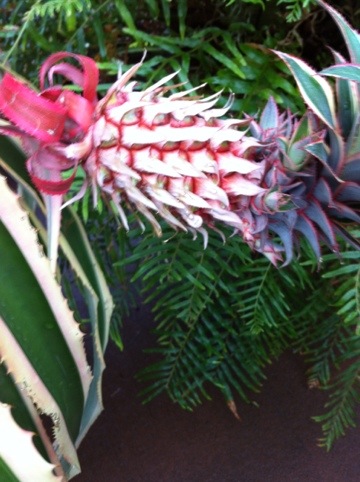 20120611-122400.jpg
