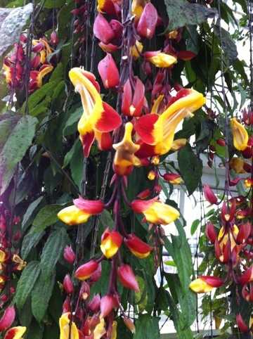 20120611-122427.jpg