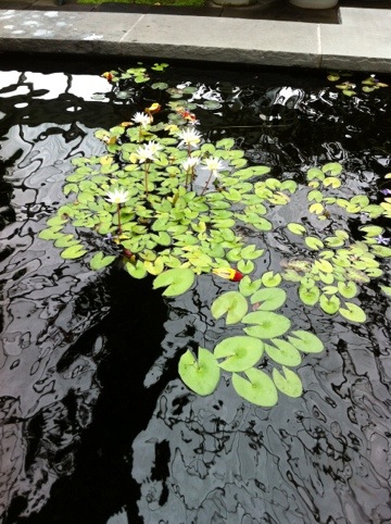 20120611-122444.jpg