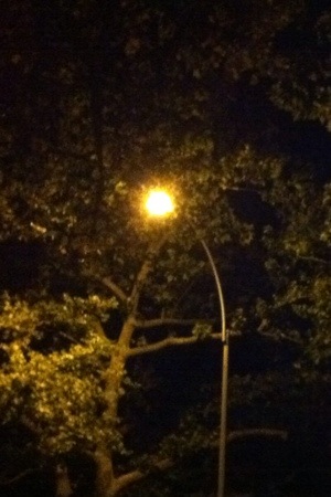 20120617-005011.jpg