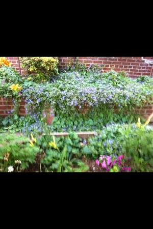 20120619-130108.jpg
