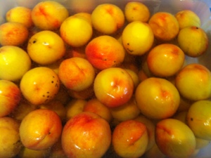 20120816-233638.jpg