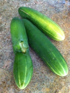 20120818-131553.jpg